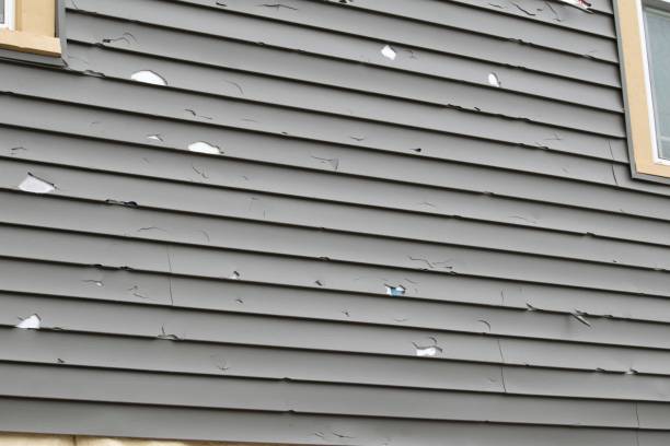 Historical Building Siding Restoration in Belton, TX